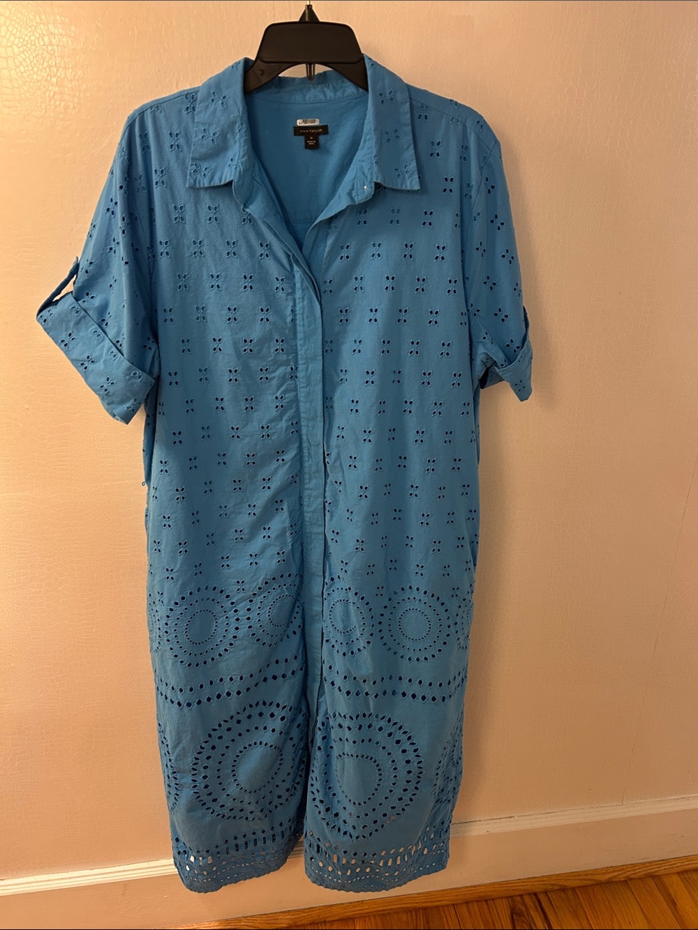 Ann Taylor Sky Blue Eyelet Button-Front Coverup